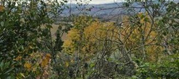 4 rooms House in Montecosaro, Italy No. 72876 16