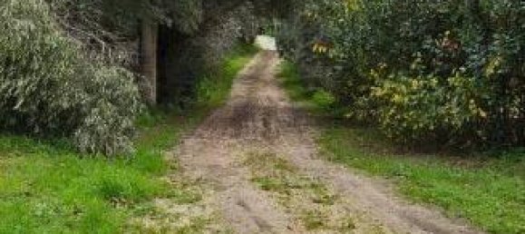 4 rooms House in Montecosaro, Italy No. 72876 15