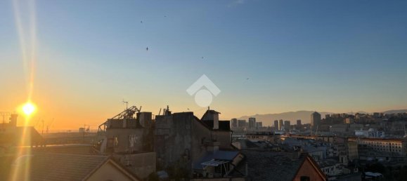 7 rooms Apartment in Genoa, Italy No. 233821 10