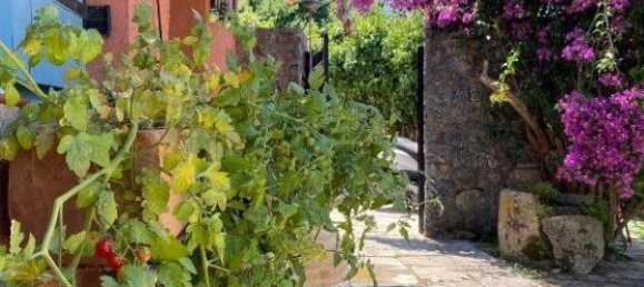 3 غرف نوم عقار تجاري في Corfu, Greece رقم 3086 23