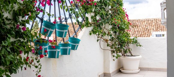 3 bedrooms Penthouse in Marbella, Spain No. 149073 35