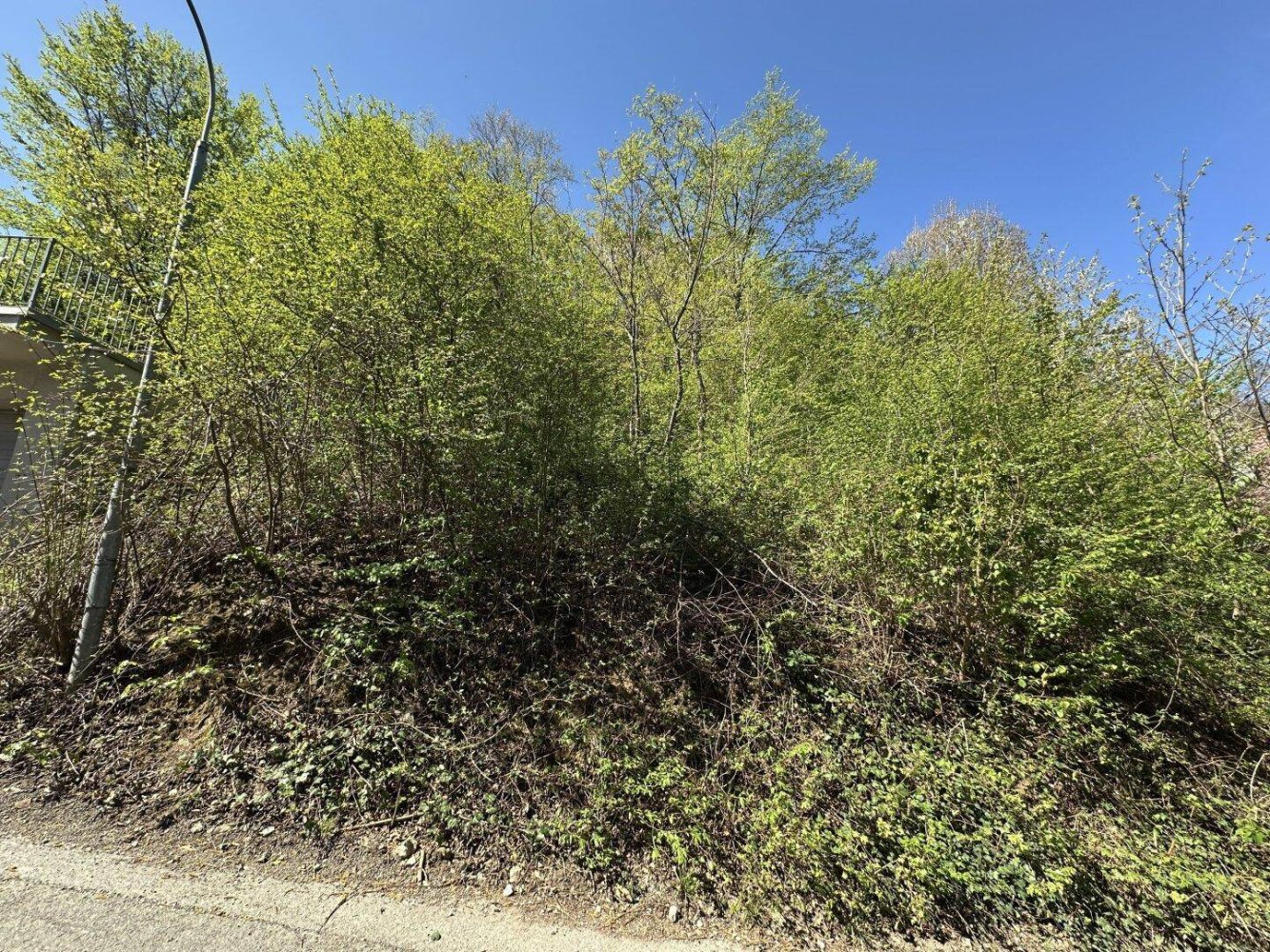 349m² Land in Wiesen, Austria No. 163327