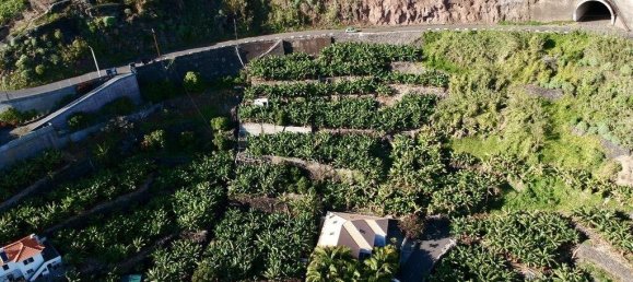 2295m² Land in Calheta, Portugal No. 144781 6