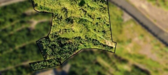 2295m² Land in Calheta, Portugal No. 144781 2