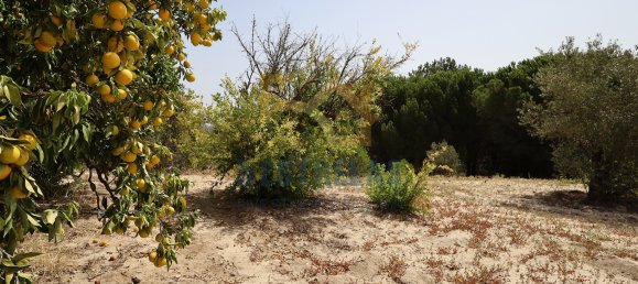 3 غرف نوم منزل في Aveiras de Baixo, Portugal رقم 89609 36