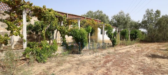 3 غرف نوم منزل في Aveiras de Baixo, Portugal رقم 89609 34