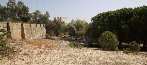 3 غرف نوم منزل في Aveiras de Baixo, Portugal رقم 89609 35