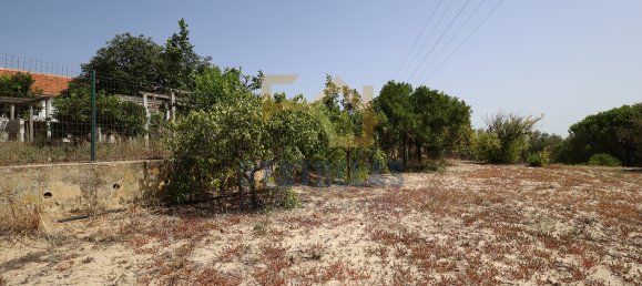 3 غرف نوم منزل في Aveiras de Baixo, Portugal رقم 89609 37