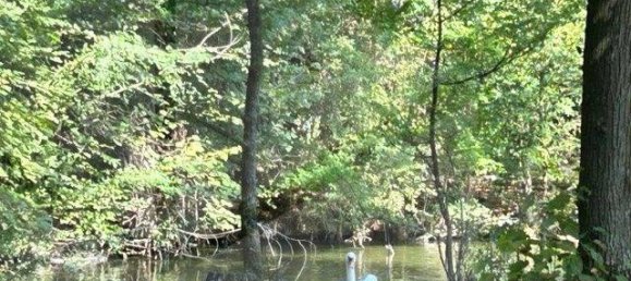 28 rooms Villa in Nonantola, Italy No. 28673 13