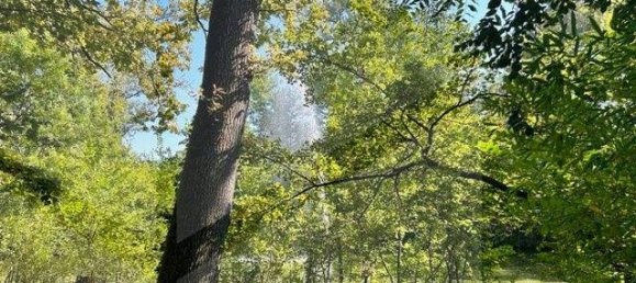 28 rooms Villa in Nonantola, Italy No. 28673 14