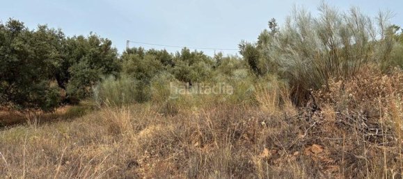 2400m² Land in Rincon de la Victoria, Spain No. 164330 9