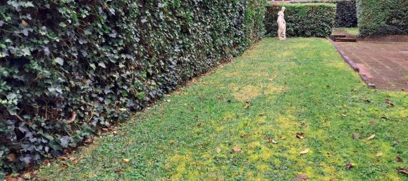 3 bedrooms Apartment in Sarreguemines, France No. 224359 8