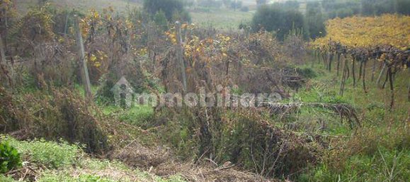 4 Schlafzimmer Haus in Monteprandone, Italy, Nr. 118386 4