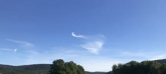 15غرفة فيلا في Rhein-Neckar-Kreis, Germany رقم 344568 19