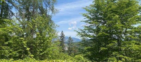 4 rooms Bungalow in Semmering, Austria No. 244681 4