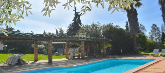 14 bedrooms House in Grandola, Portugal No. 109666 16