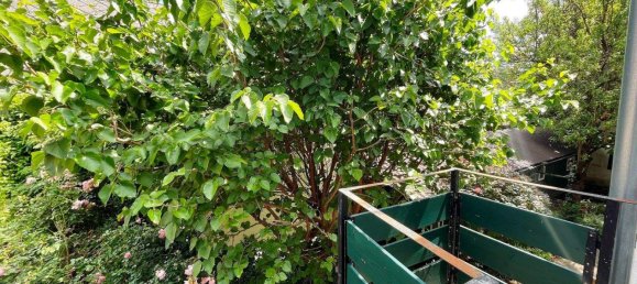 6-Zimmer Haus in Gumpoldskirchen, Austria, Nr. 36129 6