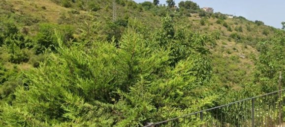 3 rooms House in Vico del Gargano, Italy No. 299724 16