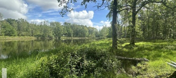 12 rooms Villa in La Ferte-Saint-Cyr, France No. 62114 27