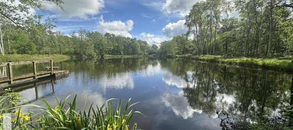 12 rooms Villa in La Ferte-Saint-Cyr, France No. 62114 5