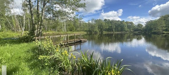 12 rooms Villa in La Ferte-Saint-Cyr, France No. 62114 31