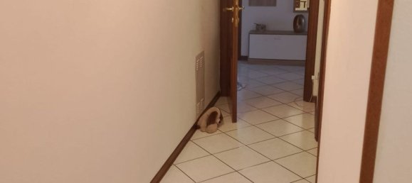 6 bedrooms Apartment in San Giorgio di Piano, Italy No. 318762 5