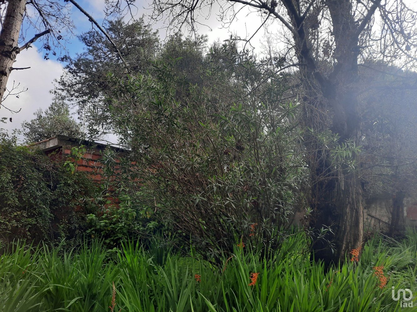 6 bedrooms House in Cascais, Portugal No. 131893