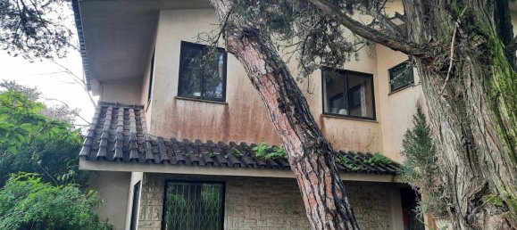 6 bedrooms House in Cascais, Portugal No. 131893 3