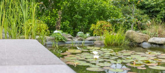 2 غرف نوم منزل في Rendsburg-Eckernforde, Germany رقم 232304 38