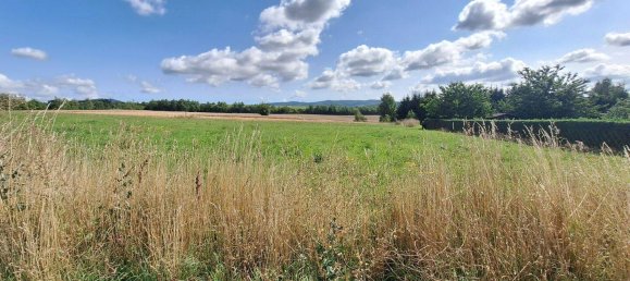 3 chambres Bungalow à Wartburgkreis, Germany No. 368033 14