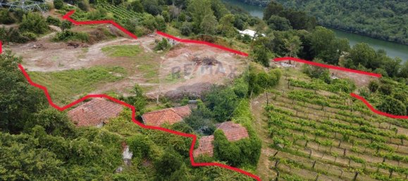 1 bedroom House in Penafiel, Portugal No. 60060 5