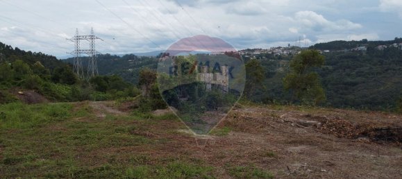 1 bedroom House in Penafiel, Portugal No. 60060 8