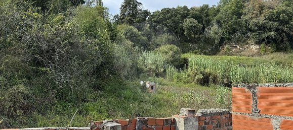 3 غرف نوم منزل في Alcobaca, Portugal رقم 15327 5