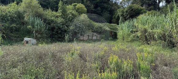 3 غرف نوم منزل في Alcobaca, Portugal رقم 15327 16