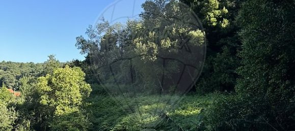 3 غرف نوم منزل في Alcobaca, Portugal رقم 15327 11