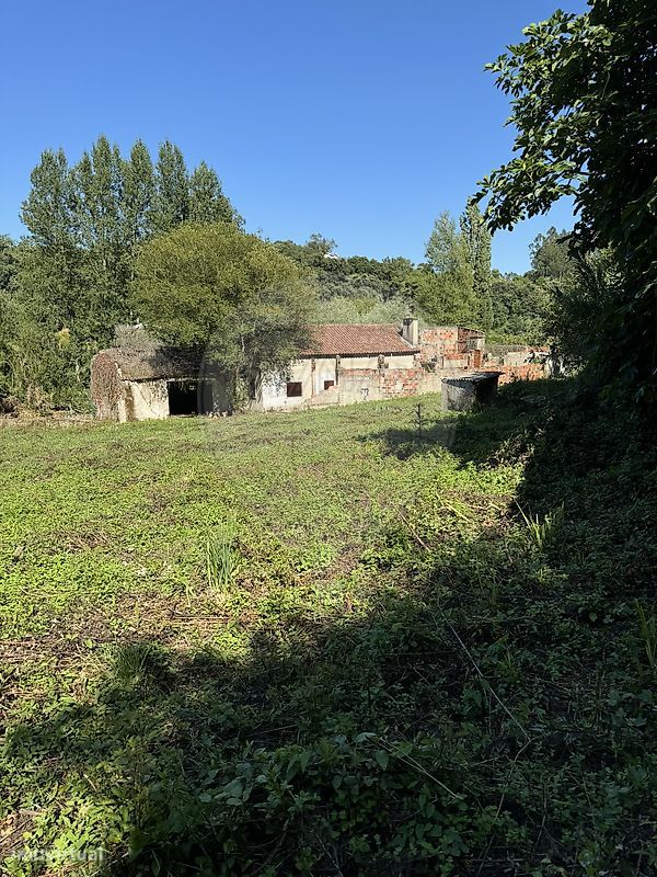 3 غرف نوم منزل في Alcobaca, Portugal رقم 15327