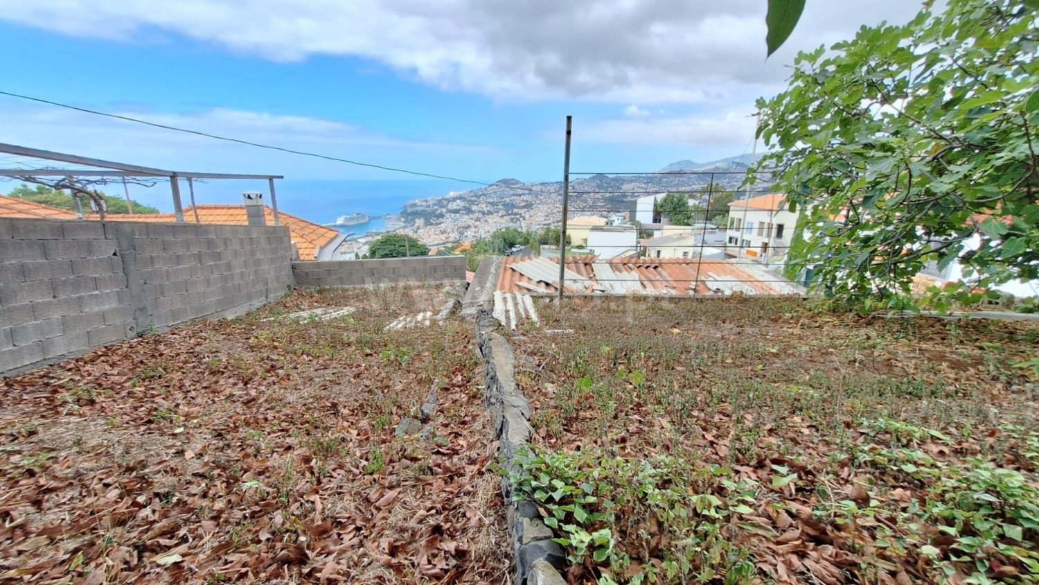  Land in Funchal, Portugal No. 321692