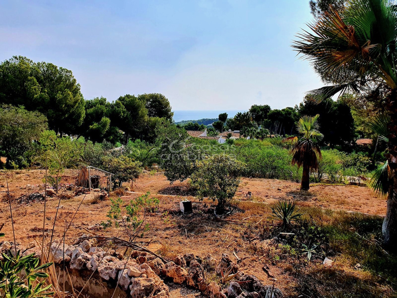  Land in Moraira, Spain No. 92184