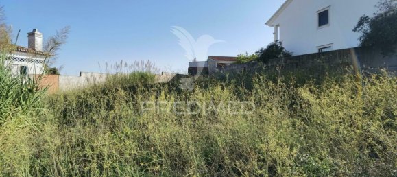 Grundstück in Santarem, Portugal 563m², Nr. 71029 8