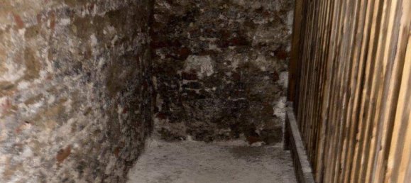 Studio in Rudolfsheim-Funfhaus, Austria No. 135872 11