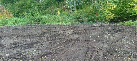 Land in Klosterneuburg, Austria No. 210466 10