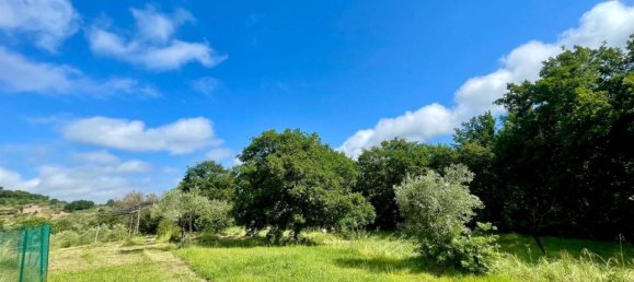 Земельный участок 11000м² в Ареццо, Италия № 76605 5