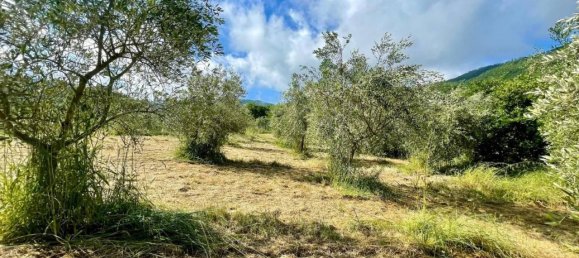 Земельный участок 11000м² в Ареццо, Италия № 76605 8
