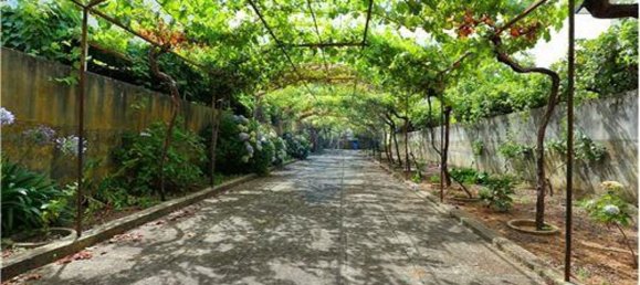4 chambres Maison à Lousa, Portugal No. 169174 15