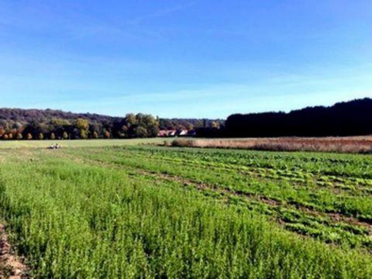 Büro in Marcoussis, France 520m², Nr. 18092