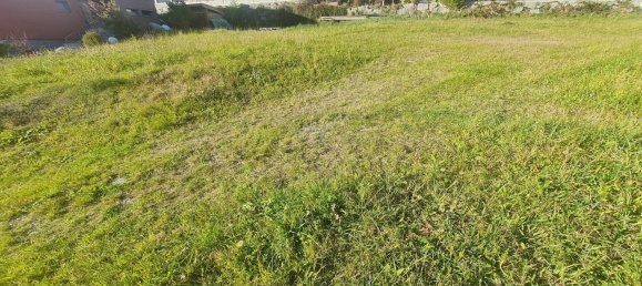 Земельный участок 830м² в Нойкирхен ам Гросфенедигер, Австрия № 67322 3