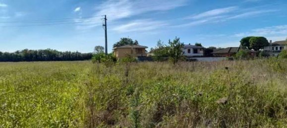 6601m² Land in Busto Garolfo, Italy No. 299834 2