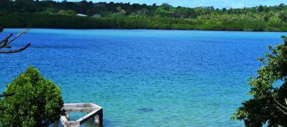 9 غرف نوم فيلا في Port-Vila, Vanuatu رقم 10 3