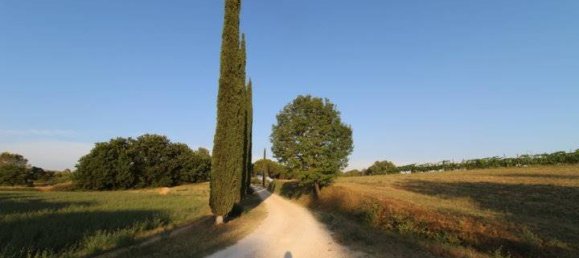 9 bedrooms House in Siena, Italy No. 196607 23