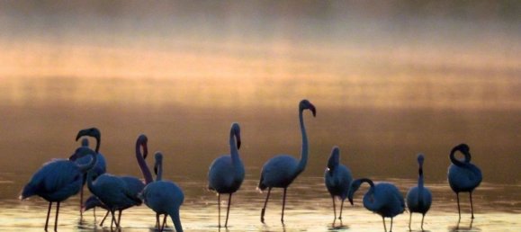 6 rooms House in Avetrana, Italy No. 21029 40